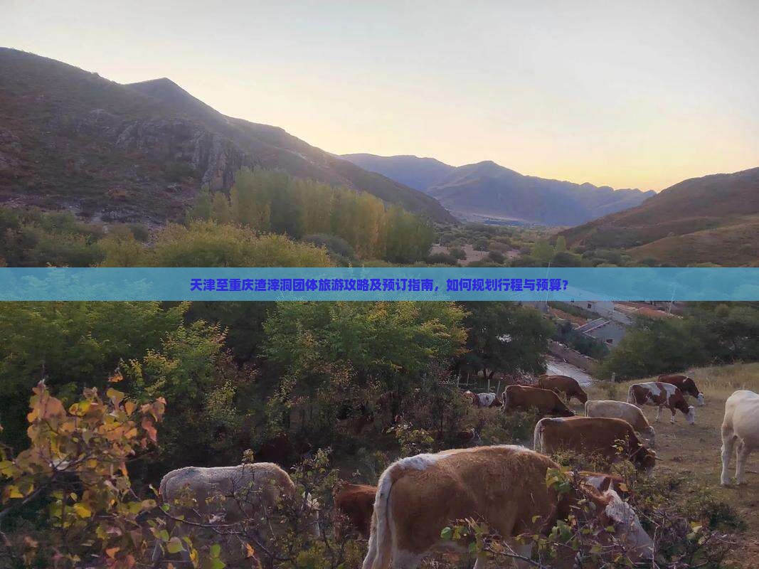天津至重庆渣滓洞团体旅游攻略及预订指南，如何规划行程与预算？