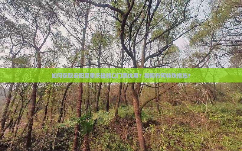 如何获取安阳至重庆磁器口门票优惠？期间有何特殊措施？