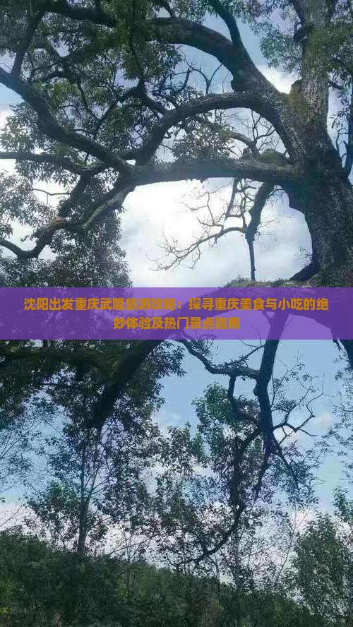 沈阳出发重庆武隆旅游攻略：探寻重庆美食与小吃的绝妙体验及热门景点指南