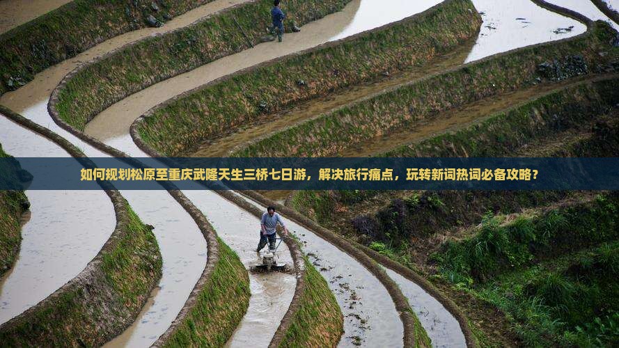 如何规划松原至重庆武隆天生三桥七日游，解决旅行痛点，玩转新词热词必备攻略？