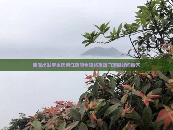 菏泽出发至重庆两江夜游全攻略及热门旅游疑问解答