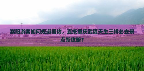 濮阳游客如何规避拥堵，直抵重庆武隆天生三桥必去景点新攻略？