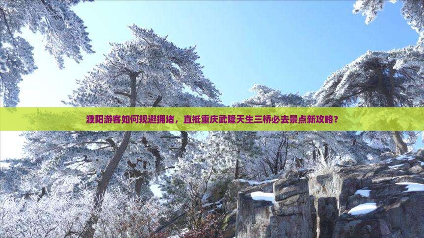 濮阳游客如何规避拥堵，直抵重庆武隆天生三桥必去景点新攻略？