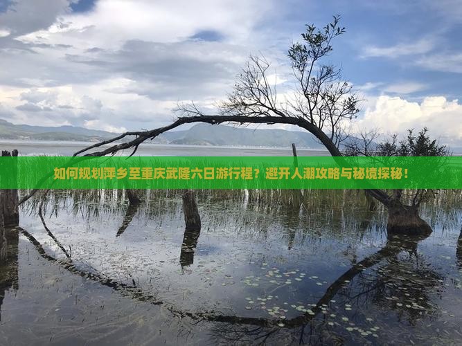 如何规划萍乡至重庆武隆六日游行程？避开人潮攻略与秘境探秘！