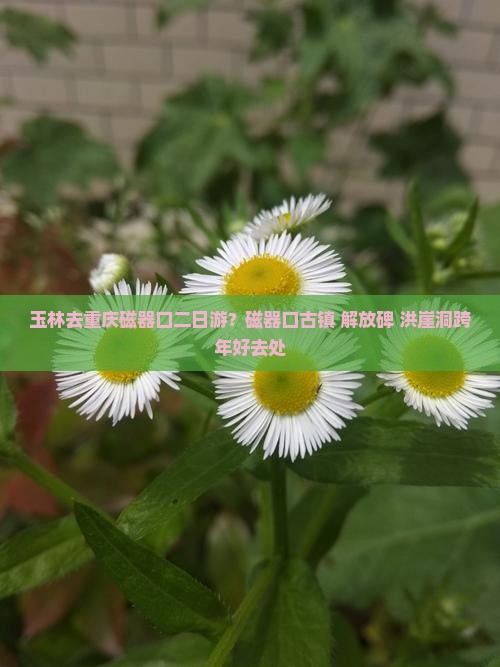 玉林去重庆磁器口二日游？磁器口古镇+解放碑+洪崖洞跨年好去处