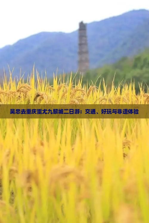 吴忠去重庆蚩尤九黎城二日游：交通、好玩与非遗体验