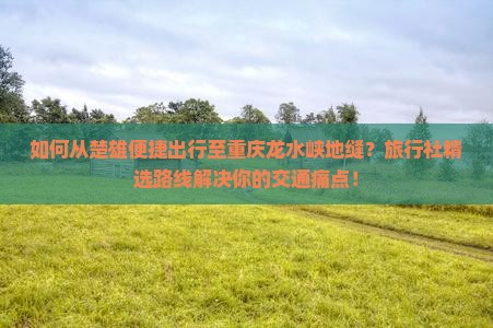 如何从楚雄便捷出行至重庆龙水峡地缝？旅行社精选路线解决你的交通痛点！