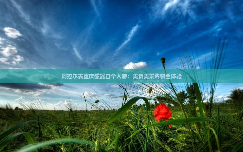 阿拉尔去重庆磁器口个人游：美食美景购物全体验