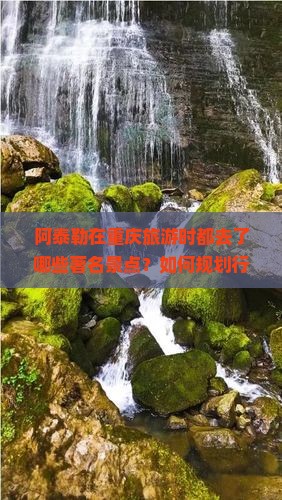 阿泰勒在重庆旅游时都去了哪些著名景点？如何规划行程？有哪些美食推荐？