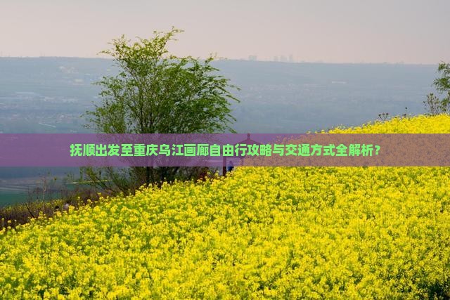 抚顺出发至重庆乌江画廊自由行攻略与交通方式全解析？