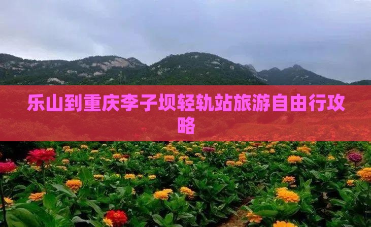 乐山到重庆李子坝轻轨站旅游自由行攻略