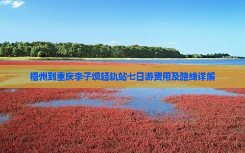 梧州到重庆李子坝轻轨站七日游费用及路线详解