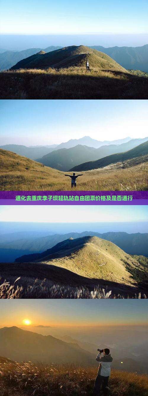 通化去重庆李子坝轻轨站自由团票价格及是否通行