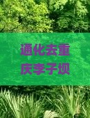 通化去重庆李子坝轻轨站自由团票价格及是否通行