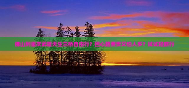 佛山到重庆武隆天生三桥自由行？担心路费贵又怕人多？试试轻旅行