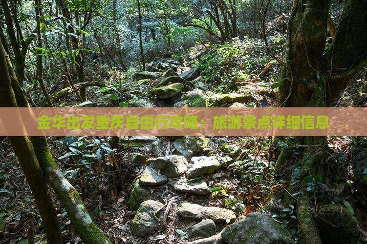 金华出发重庆自由行攻略：旅游景点详细信息