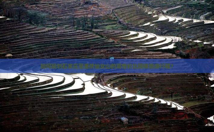 如何规划石家庄至重庆仙女山的高性价比团体旅游行程？