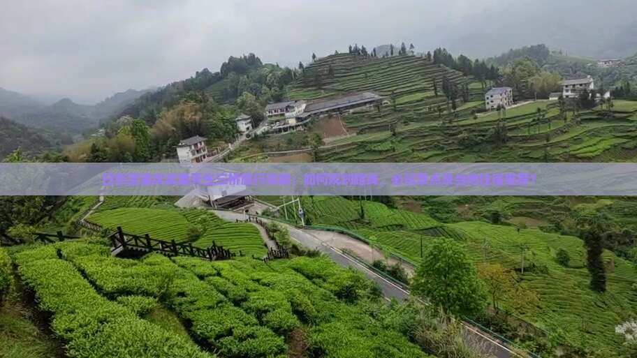 日照至重庆武隆天生三桥旅行攻略：如何规划路线、必玩景点及当地住宿推荐？