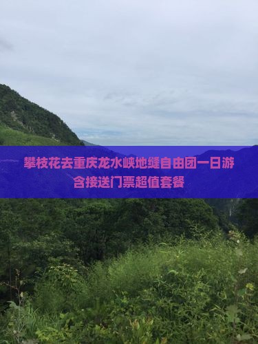 攀枝花去重庆龙水峡地缝自由团一日游含接送门票超值套餐 攀枝花去重庆龙水峡地缝自由团一日游含接送门票超值套餐