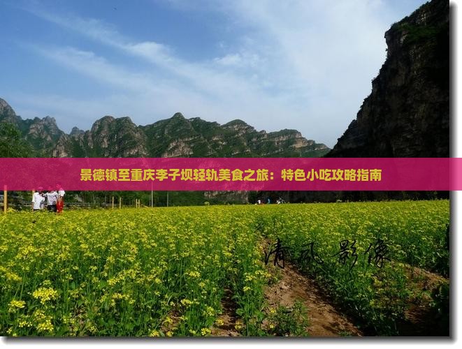 景德镇至重庆李子坝轻轨美食之旅：特色小吃攻略指南