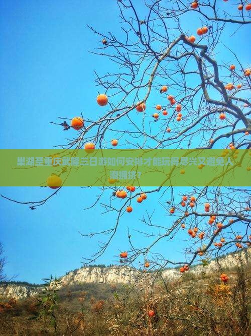 巢湖至重庆武隆三日游如何安排才能玩得尽兴又避免人潮拥挤？