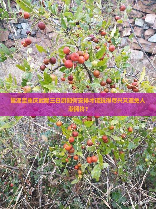 巢湖至重庆武隆三日游如何安排才能玩得尽兴又避免人潮拥挤？