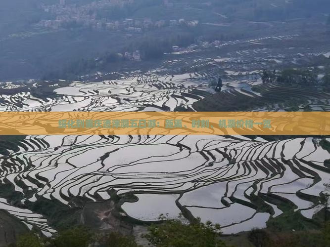 绥化到重庆渣滓洞五日游：距离、时刻、机票价格一览