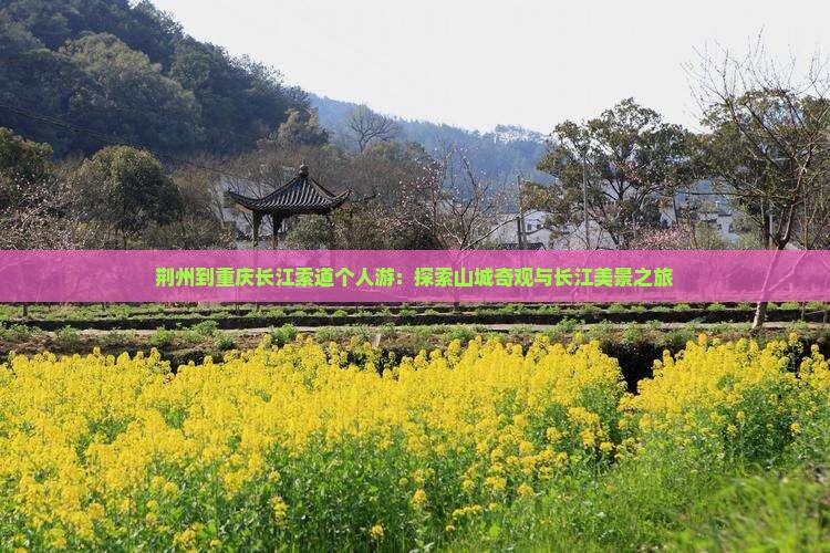 荆州到重庆长江索道个人游：探索山城奇观与长江美景之旅