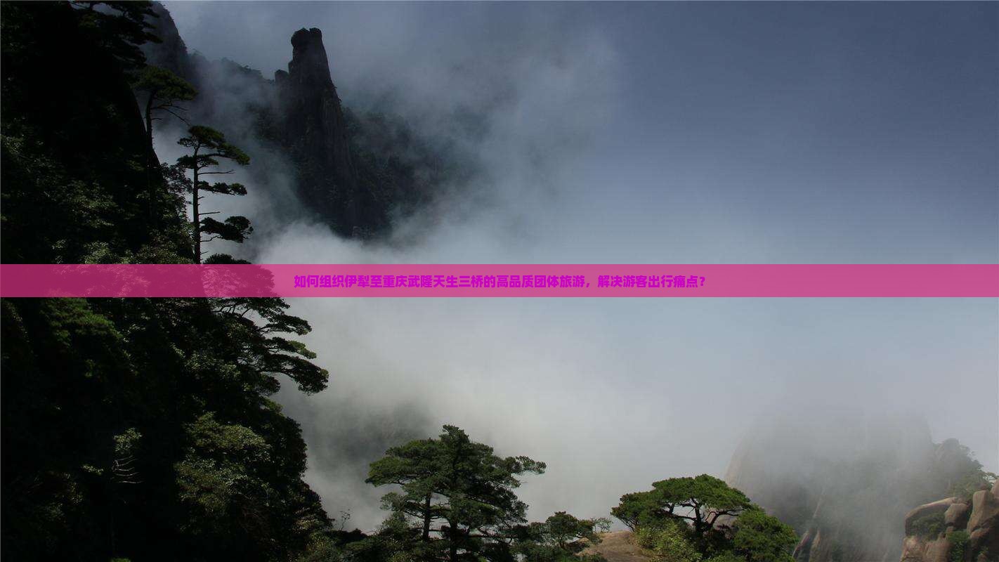 如何组织伊犁至重庆武隆天生三桥的高品质团体旅游，解决游客出行痛点？
