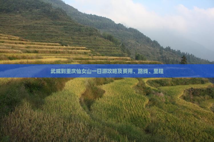 武威到重庆仙女山一日游攻略及费用、路线、里程