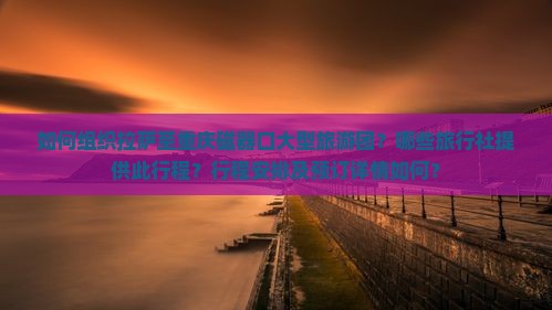 如何组织拉萨至重庆磁器口大型旅游团？哪些旅行社提供此行程？行程安排及预订详情如何？