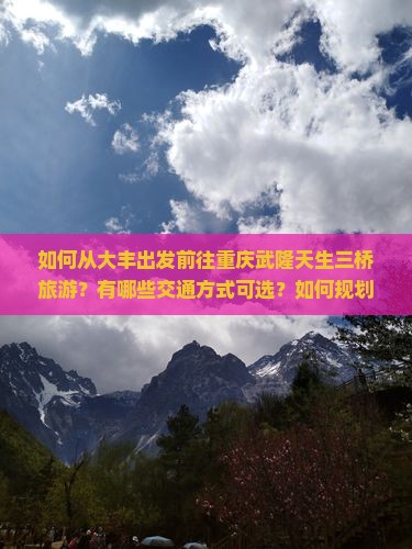 如何从大丰出发前往重庆武隆天生三桥旅游？有哪些交通方式可选？如何规划行程？