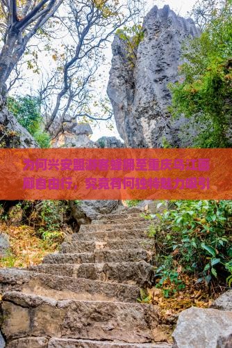为何兴安盟游客蜂拥至重庆乌江画廊自由行，究竟有何独特魅力吸引？