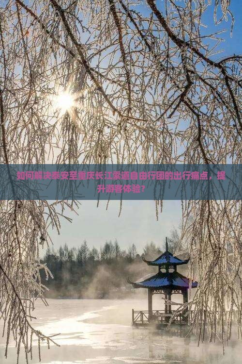 如何解决泰安至重庆长江索道自由行团的出行痛点，提升游客体验？