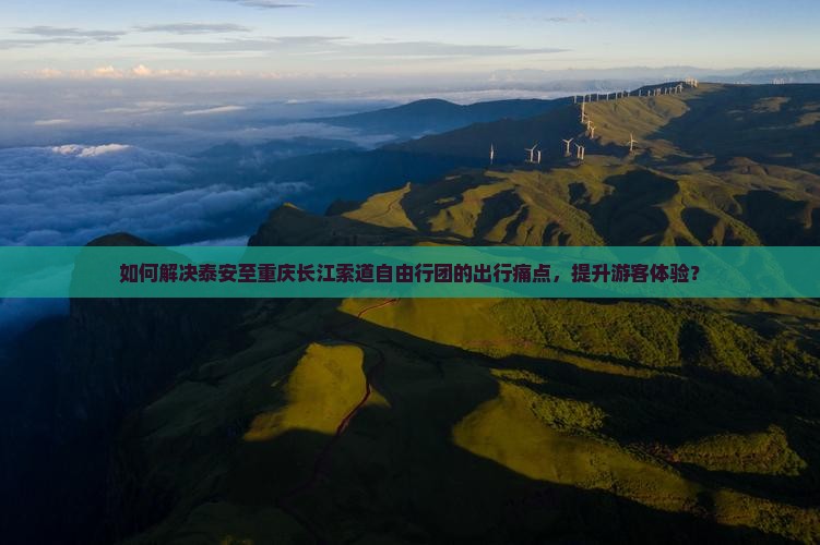 如何解决泰安至重庆长江索道自由行团的出行痛点，提升游客体验？