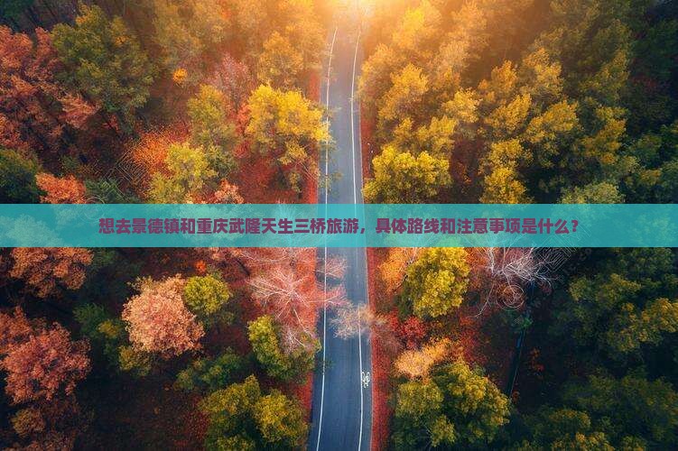 想去景德镇和重庆武隆天生三桥旅游，具体路线和注意事项是什么？