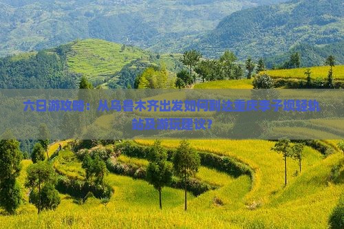 六日游攻略：从乌鲁木齐出发如何到达重庆李子坝轻轨站及游玩建议？