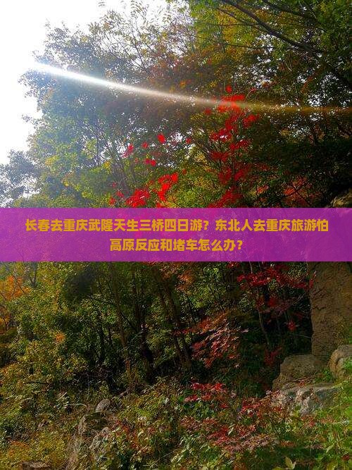 长春去重庆武隆天生三桥四日游？东北人去重庆旅游怕高原反应和堵车怎么办？
