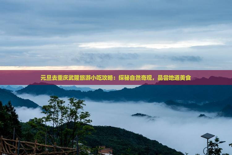 元旦去重庆武隆旅游小吃攻略：探秘自然奇观，品尝地道美食