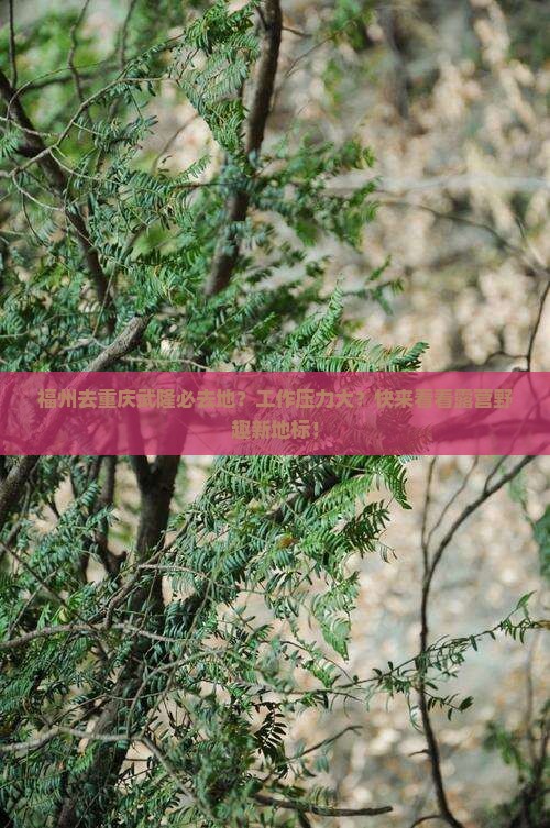 福州去重庆武隆必去地？工作压力大？快来看看露营野趣新地标！