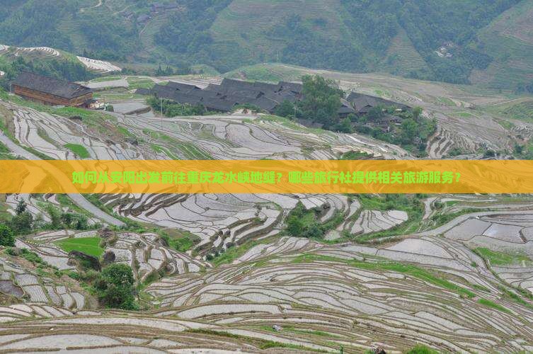 如何从安阳出发前往重庆龙水峡地缝？哪些旅行社提供相关旅游服务？