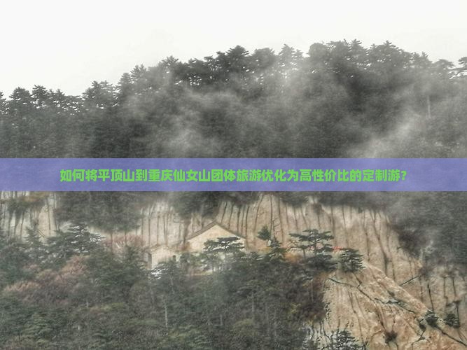 如何将平顶山到重庆仙女山团体旅游优化为高性价比的定制游？