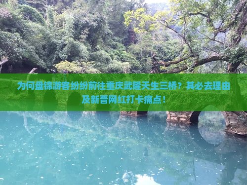 为何盘锦游客纷纷前往重庆武隆天生三桥？其必去理由及新晋网红打卡痛点！
