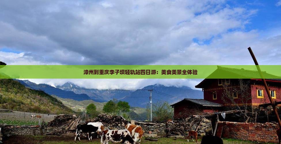 漳州到重庆李子坝轻轨站四日游：美食美景全体验