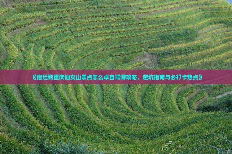 《宿迁到重庆仙女山景点怎么卓自驾游攻略、避坑指南与必打卡热点》