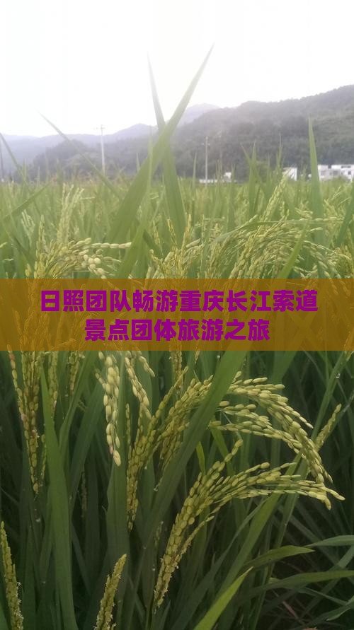 日照团队畅游重庆长江索道景点团体旅游之旅