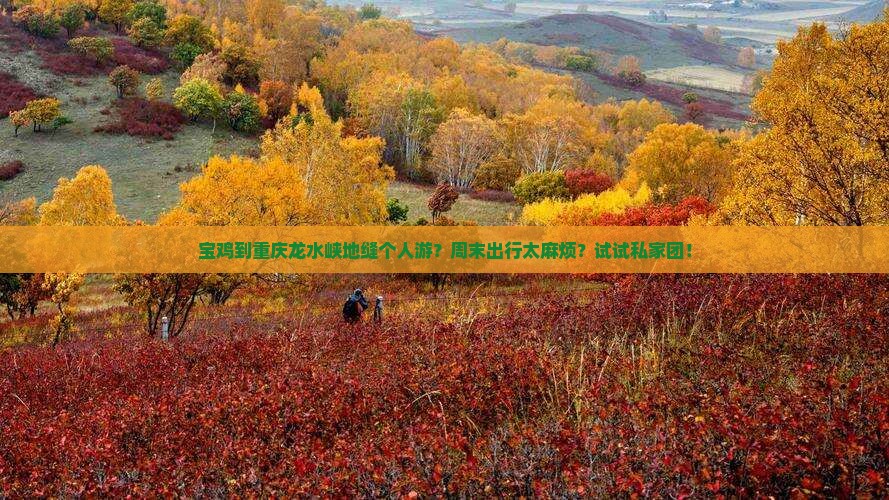 宝鸡到重庆龙水峡地缝个人游？周末出行太麻烦？试试私家团！