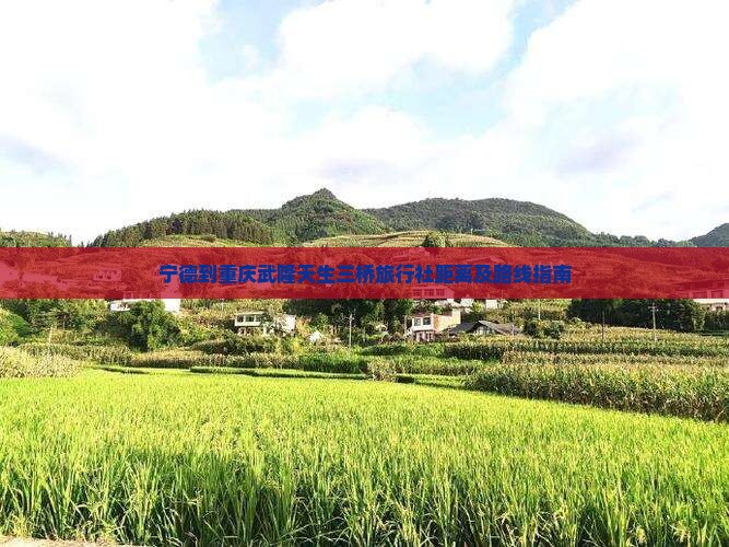 宁德到重庆武隆天生三桥旅行社距离及路线指南