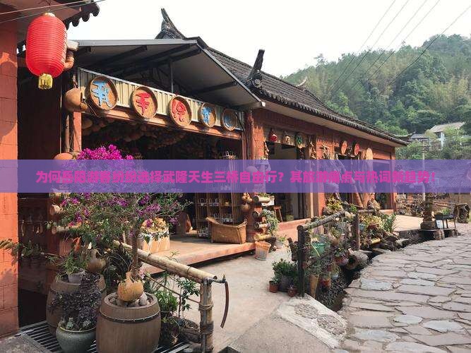 为何岳阳游客纷纷选择武隆天生三桥自由行？其旅游痛点与热词新趋势！