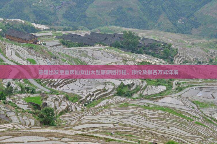 楚雄出发至重庆仙女山大型旅游团行程、报价及报名方式详解